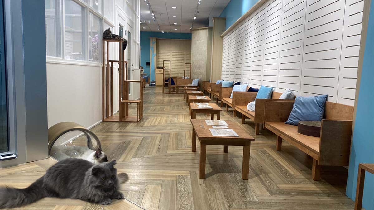 Header Image - Interior