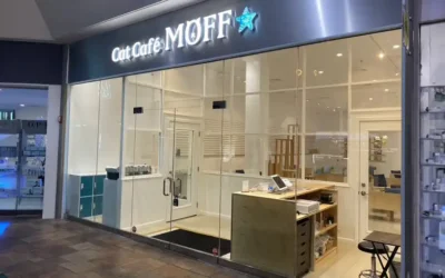 Ground Opening at Pearlridge Center on April 19th 2024