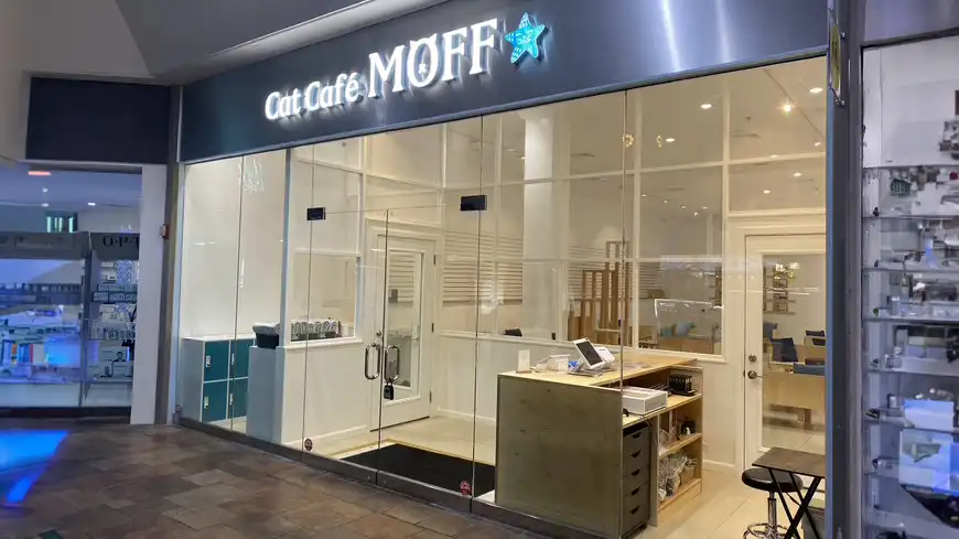Cat Cafe Moff Pearlredge Center Featured Image