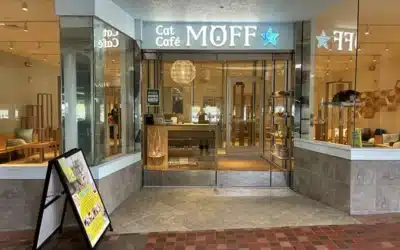 Ground Opening at Ala Moana Center on June 1st 2024