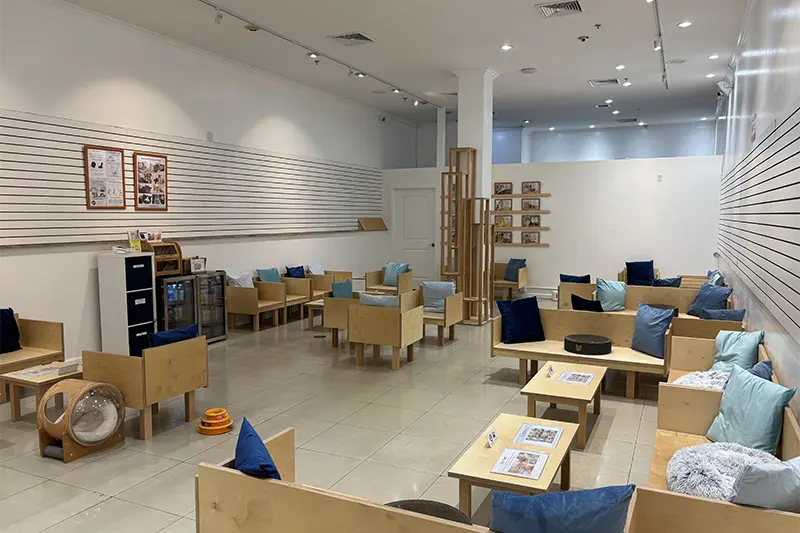 Pearlridge Interior 01