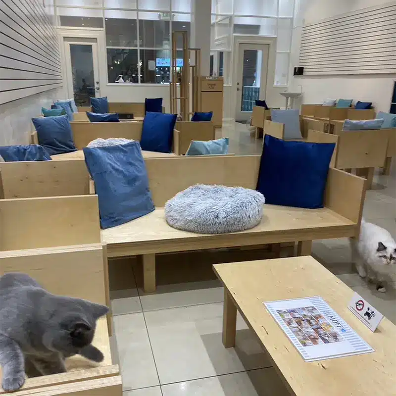 Pearlridge Interior 05