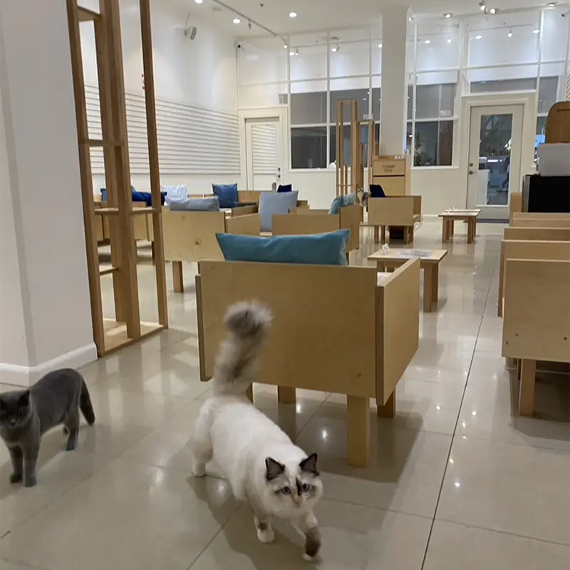 Pearlridge Interior 06