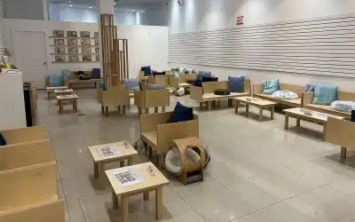 Cat Café MOFF Pearlridge Center Will Close on August 24, 2026 (Final Day: August 23)
